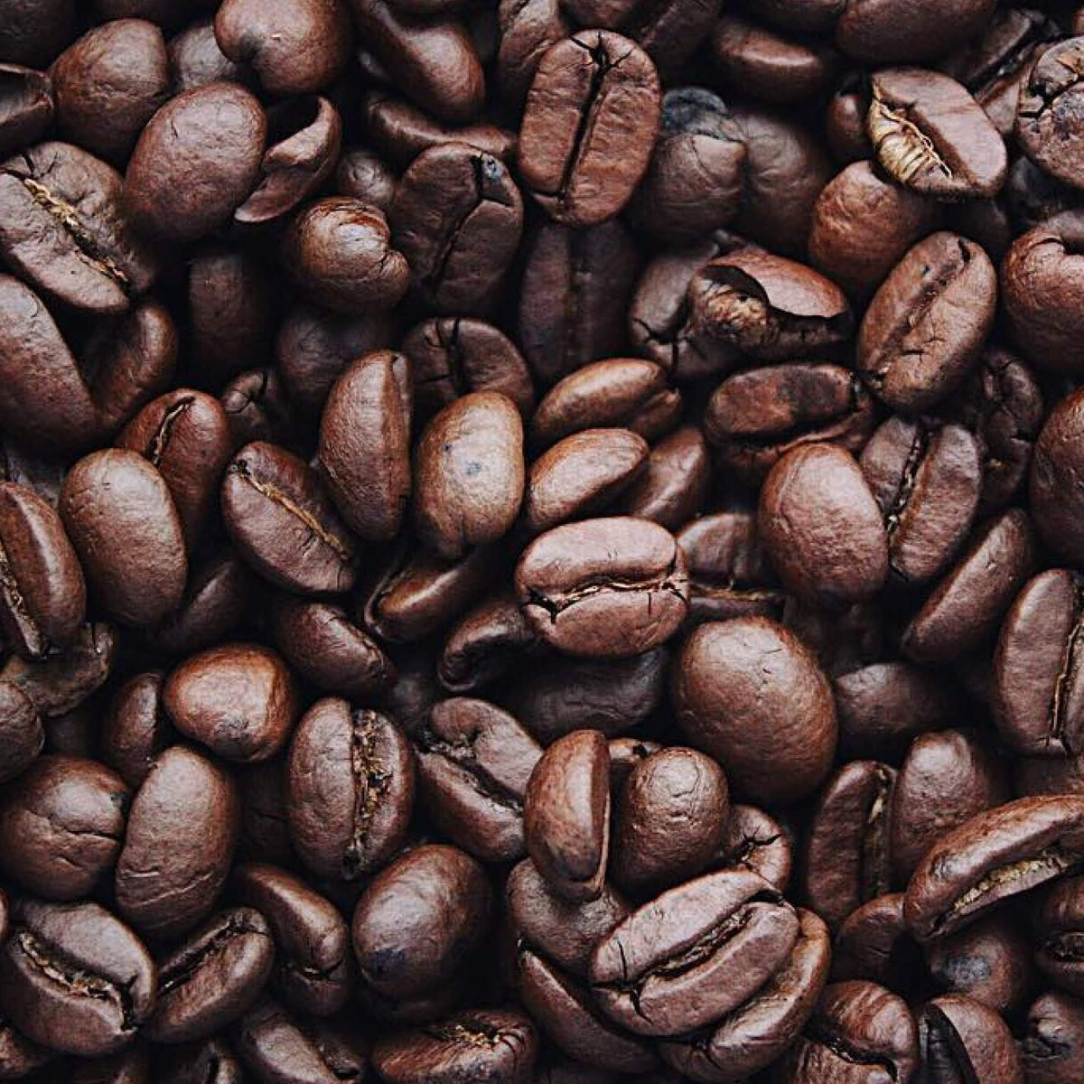 1kg Dark Roast Coffee