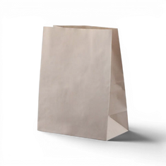 SO4 Brown Bags (500 Units)